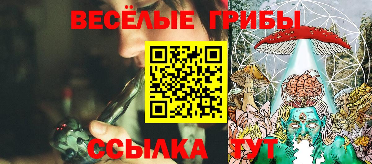 Галлюциногенные грибы ЛСД Йошкар-Ола